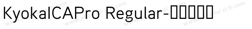 KyokaICAPro Regular字体转换